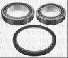 BORG & BECK BWK1396 Wheel Bearing Kit